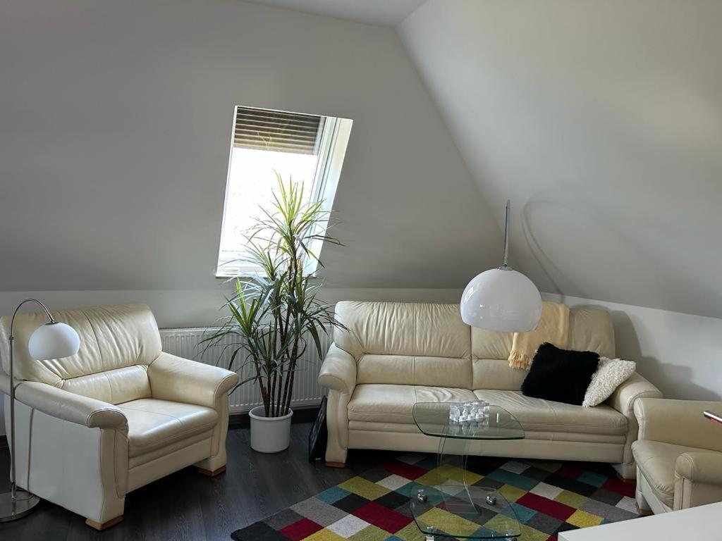 Wolfenbuettler Apartment Wolfenbüttel المظهر الخارجي الصورة